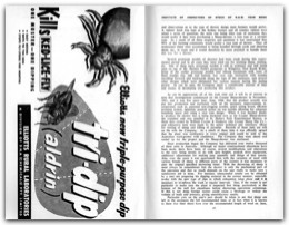 1956 Page 46 47